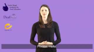 Learn Basic Greetings in British Sign Language BSL [upl. by Hamas338]