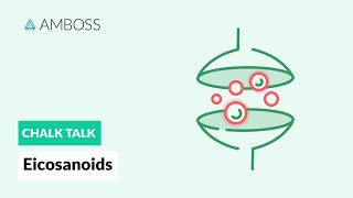 Eicosanoids Formation Function and Subclasses [upl. by Fernas991]