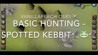 Spotted Kebbit OSRS Beginner Hunting Guide [upl. by Mullins]