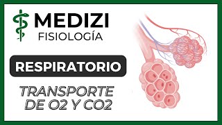 Clase 41 Fisiología Respiratoria  Transporte de O2 y CO2 en la sangre y tejidos IGdoctorpaiva [upl. by Haneen]