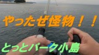 とっとパーク小島で出ました怪物♪ [upl. by Ydnas]