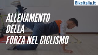 Allenamento della forza nel ciclismo [upl. by Eltotsira400]