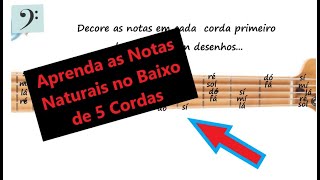 Notas Naturais no Baixo de 5 cordas  Escala de DÃ³ Maior [upl. by Harleigh]