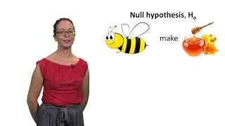 Null and alternative hypotheses with Lindsey Leach [upl. by Revert]