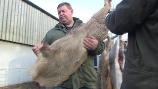 How to butcher a boar with George Digweed [upl. by Obocaj221]