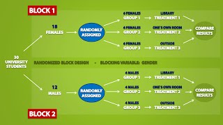 Types of Experimental Designs 33 [upl. by Karolyn413]