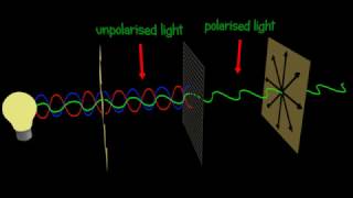 Polarization  Polarizer  Explained and animated 3d [upl. by Hilaire993]