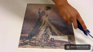 Using Timeless Varnish to Protect Fine Art Paper Prints [upl. by Crawford250]