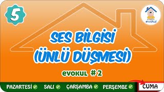 Ses Bilgisi Ünlü Düşmesi  5 Sınıf uzaktaneğitim evokul Kampı [upl. by Marnie]