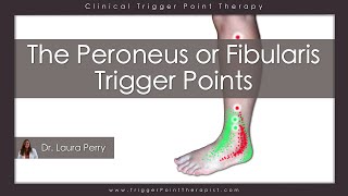 The Peroneus or Fibularis Trigger Points [upl. by Quartas291]