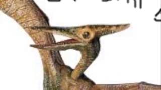 What the Pterodactyl ACTUALLY sounded like [upl. by Anod33]