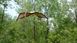 Pterodactyl or Pteranodon at Field Station Dinosaur [upl. by Yauq]