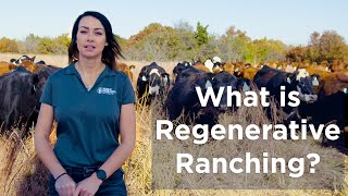 What is Regenerative Ranching Why is Regenerative Agriculture Important [upl. by Oilasor]