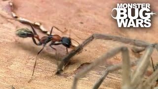 Epic Ant Battles 2  MONSTER BUG WARS [upl. by Ynohtona]