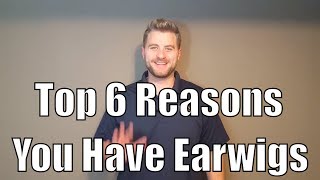 Top 6 reasons you have earwigs [upl. by Vyky]