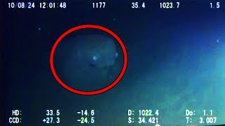 12 Mysterious Underwater Creatures Caught on Tape [upl. by Harlen]