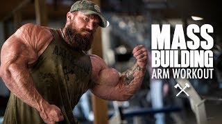 Mass Building Arm Workout [upl. by Ahsian]