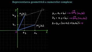 Reprezentarea geometrică a numerelor complexe  LectiiVirtualero [upl. by Annaerb]