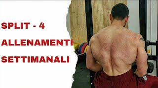 SPLIT PER 4 ALLENAMENTI SETTIMANALI [upl. by Atnahsal]