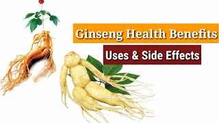 Ginseng Health Benefits Uses amp Side Effects जिनसेंग क्या है  Ginseng  Ginseng Benefits [upl. by Shalom557]