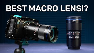 The Laowa 100mm Macro lens has ZERO FLARE [upl. by Gualtiero]