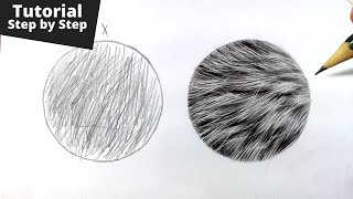 How to Draw Realistic Fur for Beginners [upl. by Chemash]