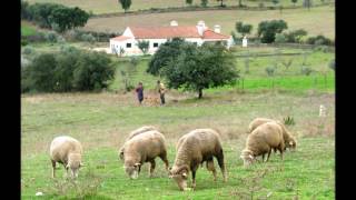 Venham ver o Alentejo [upl. by Curran816]