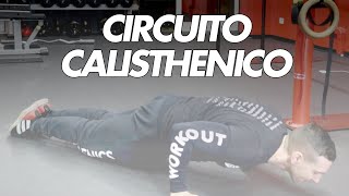 Circuito Calisthenics Principiante 8 esercizi per 30minuti [upl. by Ille]