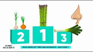 Mon urine est très malodorante  que faire   Le Magazine de la santé [upl. by Aiekram]