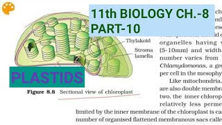 Class 11 Biology Ch8Part10PlastidsStudy with Farru [upl. by Yenahpets]