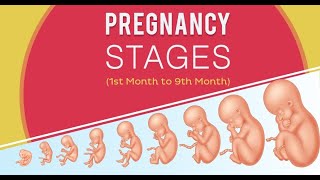 5 Physiology and Stages of Normal Labor 3122020 [upl. by Sumahs169]