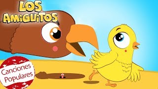 El pollito Amarillito y muchas máss Cancion Infantil  Los Amiguitos [upl. by Sidnal]