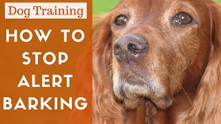 How To Train A Dog To Stop Alert Barking [upl. by Festa81]