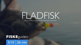 FISKEguiden 510 Fladfisk [upl. by Leupold985]