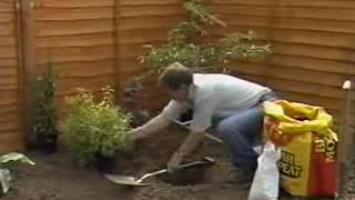 Gardeners World  First Time Planting  Planting Borders 1989 [upl. by Lleryt]