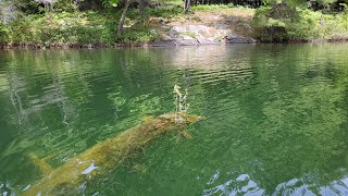 Parry Sound Trout Lake [upl. by Nohs]