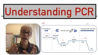 Understanding PCR [upl. by Wilkinson]