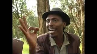 Eritrean comedy suzinino tafla and behabelom Trgum [upl. by Shanan]