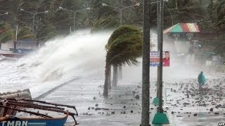 TYPHOON HAIYAN BATTERS THE PHILIPPINES  BBC NEWS [upl. by Ajim270]