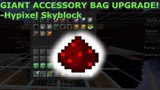 GIANT TALISMAN BAG Guide  Hypixel Skyblock [upl. by Haelem]