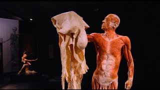 Die Kunst der Plastination [upl. by Montgomery]