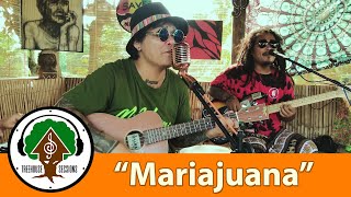 Mariajuana  by Bagani  Treehouse Sessions [upl. by Cortney713]