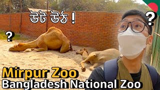 Visiting Bangladesh National Zoo  Mirpur Zoo [upl. by Bobbe270]