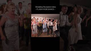 Wedding Reception Idea  FLASH MOB [upl. by Eimam]