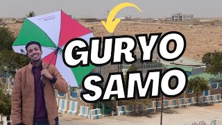 GURYO SAMO HARGEISA 2024 [upl. by Dnalrah334]