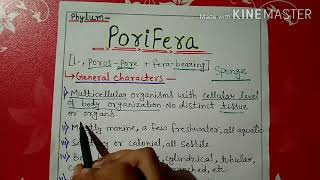 Phylum porifera characters and classification in Hindi [upl. by Wester]