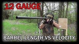 Shotgun Barrel Length vs Velocity [upl. by Melly]