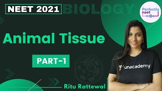 Animal Tissue  Part 1  NEET 2021  NEET Biology  Ritu Rattewal [upl. by Andrien]