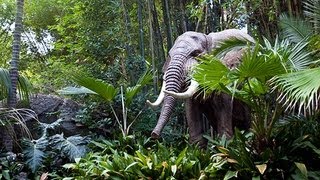 JUNGLE CRUISE at Disneyland FULL RIDE POV  GREAT QUALITY 1080p HD [upl. by Neenad65]