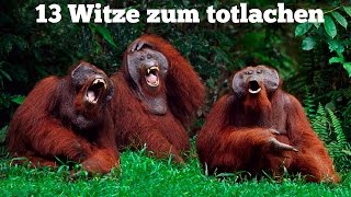 Die besten Witze zum TOTLACHEN [upl. by Gusba]